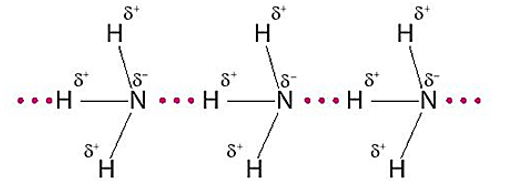 Ở trạng thái lỏng nguyên chất, phân tử chất nào sau đây tạo được liên kết  (ảnh 1)