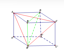 Cho hình lăng trụ đứng ABCD.A'B'C'D' có đáy ABCD là hình vuông. Khẳng định nào sau đây đúng?  (ảnh 1)