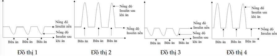 Bốn đồ thị dưới đây mô tả sự thay đổi nồng độ insulin trong (ảnh 1)
