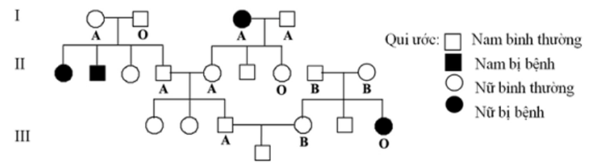 Phả hệ dưới đây mô tả sự di truyền của một bệnh ở người do (ảnh 1)