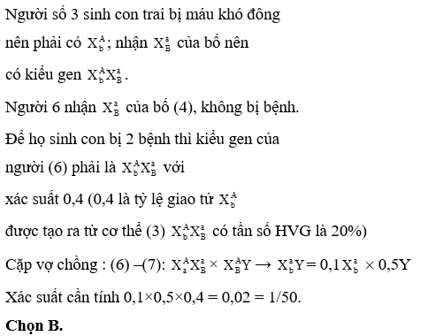 Sơ đồ phả hệ dưới đây mô tả sự di truyền bệnh mù màu  (ảnh 3)