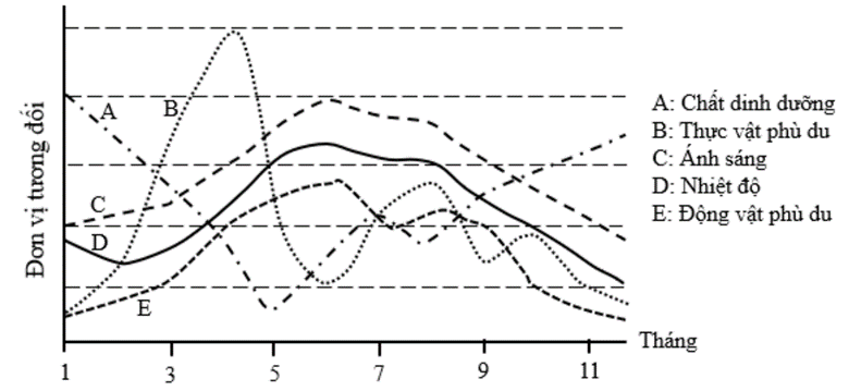Hình bên mô tả sự biến động các chỉ số trong một thuỷ vực (ảnh 1)