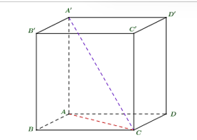Cho hình lập phương ABCD.A'B'C'D'. Xác định góc giữa đường thẳng A'C và mặt phẳng (ABCD). (ảnh 1)
