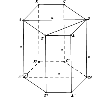 Cho hình lăng trụ lục giác đều ABCDEF.A'B'C'D'E'F' có cạnh bên bằng a và ADD'A' là hình vuông. Cạnh đáy của lăng trụ bằng:  (ảnh 1)