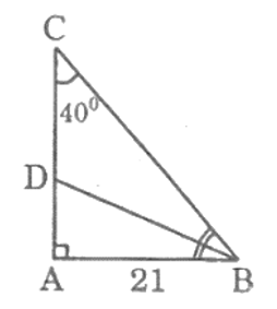 Tam giác ABC vuông tại A có AB = 21cm, góc C = 40°. Hãy tính các độ dài phân giác BD. (ảnh 1)