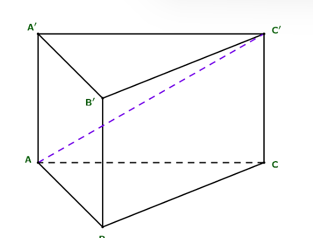 Cho hình lăng trụ tam giác đều ABC.A'B'C' có AB = c ăn 3   và AA' = 1. Góc tạo bởi đường thẳng AC' và (ABC) bằng: (ảnh 1)