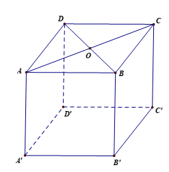 Cho khối lập phương ABCD.A'B'C'D'. Đoạn vuông góc chung của hai đường thẳng chéo nhau AD và A'C' là:   (ảnh 1)