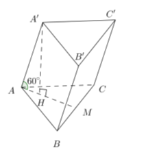 Cho hình lăng trụ tam giác ABC.A'B'C' có các cạnh bên hợp với đáy những góc bằng 60°, đáy ABC là tam giác đều và A' (ảnh 1)
