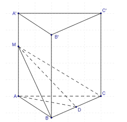 Lăng trụ tam giác đều ABC.A'B'C' có cạnh đáy bằng a. Gọi M là điểm trên cạnh AA' (ảnh 1)