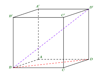 Cho hình lập phương ABCD.A'B'C'D'. Tính côsin góc giữa đường thẳng BD' và mặt phẳng đáy bằng bao nhiêu? (ảnh 1)