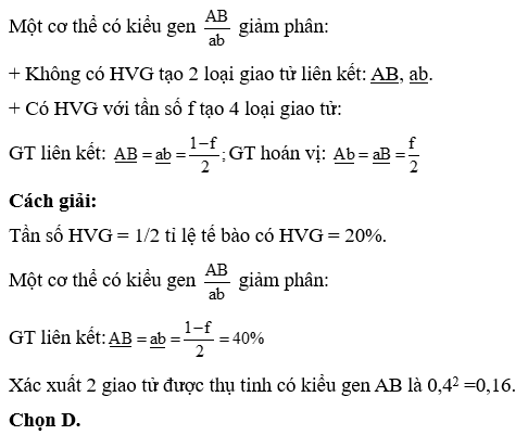 Quan sát quá trình giảm phân tạo tinh trùng của 1000 tế (ảnh 1)