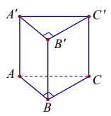Cho khối lăng trụ đứng ABC.A’B’C’ có đáy ABC là tam giác vuông tại B, AB = a căn 3, BC = a và  AA' = 2a căn 3(tham khảo hình vẽ).   Tính thể tích của khối lăng trụ đã cho. (ảnh 1)