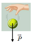 Hình nào sau đây biểu diễn đúng trọng lực tác dụng vào vật (ảnh 1)