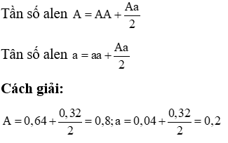 Một quần thể có cấu trúc di truyền 0,64 AA + 0,32 (ảnh 1)