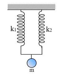 Hai lò xo có khối lượng không đáng kể, có độ cứng lần lượt là k1 = 1 N/cm, k2 = 150 N/m (ảnh 1)