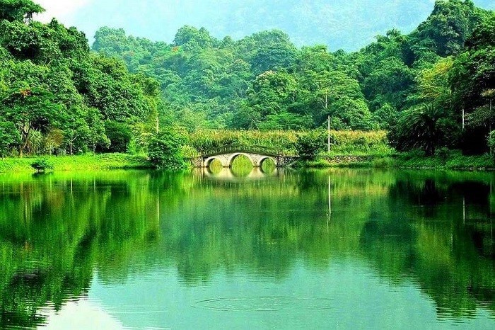 Vườn quốc gia Cúc Phương: Rừng nguyên sinh đẹp nhất Việt Nam