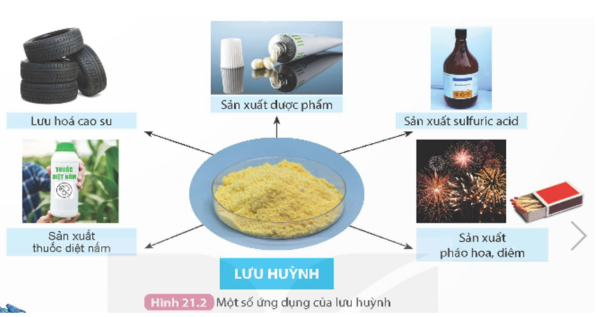 Sử dụng Hình 21.2, kết hợp với những hiểu biết của em trong thực tế, em hãy trình bày một số ứng dụng của các (ảnh 1)