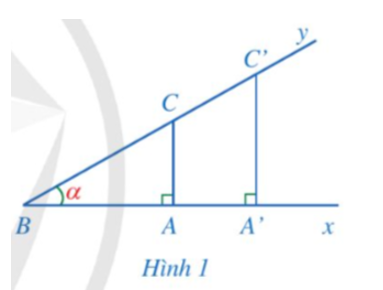 Cho góc nhọn góc xBy = alpha. Xét tam giác ABC vuông tại A, tam giác A’BC’ vuông (ảnh 1)