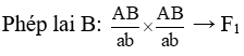 Biết mỗi cặp gen quy định một cặp tính trạng tương phản (ảnh 1)
