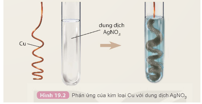 So sánh mức độ hoạt động hoá học của kim loại Ag và Cu (ảnh 1)