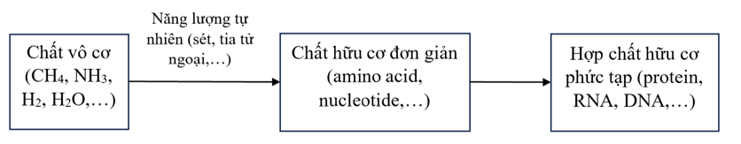 1. Tiến hóa hóa học là gì? Hãy vẽ sơ đồ khái quát quá trình tiến hóa hóa học. (ảnh 1)