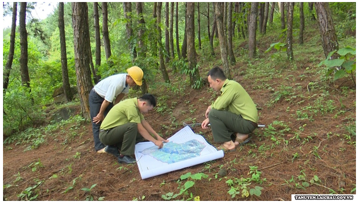 Sưu tầm thông tin, hình ảnh về hoạt động khoanh nuôi và bảo vệ rừng ở Việt Nam. (ảnh 1)