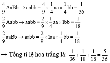 Một quần thể tự thụ phấn, thế hệ xuất phát (P) có (ảnh 5)