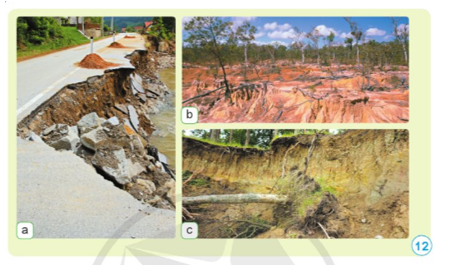 Nêu tác hại của xói mòn đất được thể hiện trong hình 12. (ảnh 1)