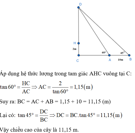 Từ hai vị trí A và B người ta quan sát một cái cây (hỉnh vẽ). Lấy C là điểm gốc cây, D là điểm ngọn của cây (ảnh 2)