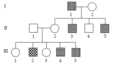Phả hệ dưới cho biết sự di truyền của hai tính trạng (ảnh 1)