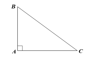 Cho tam giác ABC vuông tại A. Tính các tỉ số lượng giác sin, coossin, tang, cotang (ảnh 1)