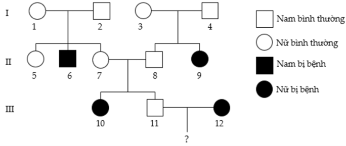 Cho sơ đồ phả hệ sau mô tả sự di truyền của bệnh A (ảnh 1)