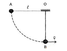Quả cầu khối lượng m = 0,1 kg treo dưới một dây dài l = 1 m. Nâng quả cầu lên để dây treo nằm ngang rồi buông tay (ảnh 1)