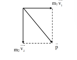 Hai viên bi có khối lượng 2 g và 3 g chuyển động trên mặt phẳng nằm ngang không có ma sát với tốc độ 6 m/s và 4 m/s (ảnh 2)