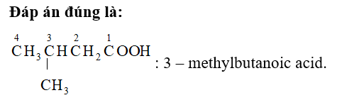Hợp chất X có công thức cấu tạo: (CH3)2CHCH2COOH. Tên của X là (ảnh 1)