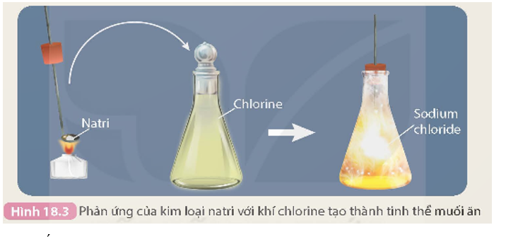- Thí nghiệm natri (sodium) tác dụng với chlorine được thực hiện như sau: Đun nóng chảy một mẩu natri rồi cho nhanh vào bình (ảnh 1)
