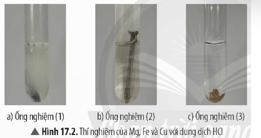 Tiến hành Thí nghiệm 1 và nêu hiện tượng quan sát được. Viết phương trình hoá học của các phản ứng. (ảnh 1)