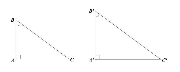 Cho tam giác ABC vuông tại A và tam giác A’B’C’ vuông tại A (ảnh 1)