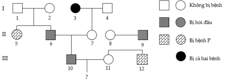 Biết rằng hai cặp gen quy định hai tính trạng nói trên phân  (ảnh 1)