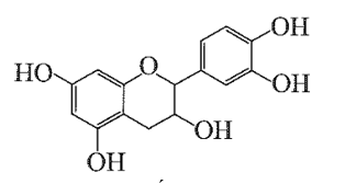 Catechin là một chất kháng oxi hóa mạnh, ức chế hoạt động của các gốc tự (ảnh 1)