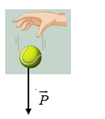 Hình nào sau đây biểu diễn đúng trọng lực tác dụng vào vật (ảnh 4)