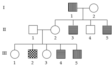 Phả hệ dưới đây mô tả sự di truyền của hai bệnh ở (ảnh 1)