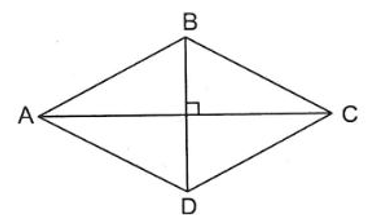 Cho hình thoi ABCD có cạnh AB = 8cm. Tính chu vi hình thoi ABCD? (ảnh 1)