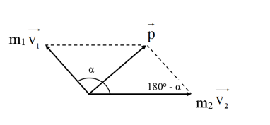 Một hệ gồm hai vật có khối lượng m1 = 1 kg và m2 = 3 kg chuyển động thẳng đều với tốc độ lần lượt là 3 m/s và 2 m/s (ảnh 1)