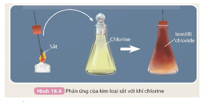 - Thí nghiệm sắt tác dụng với khí chlorine được thực hiện như sau: (ảnh 1)