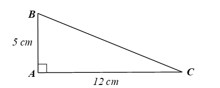 Cho tam giác ABC vuông tại A có AB = 5 cm, AC = 12 cm. Hãy tính các tỉ số lượng giác của góc B. (ảnh 1)