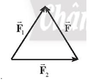 Hình vẽ nào sau đây biểu diễn đúng lực tổng hợp của hai lực F1F2 ? (ảnh 1)