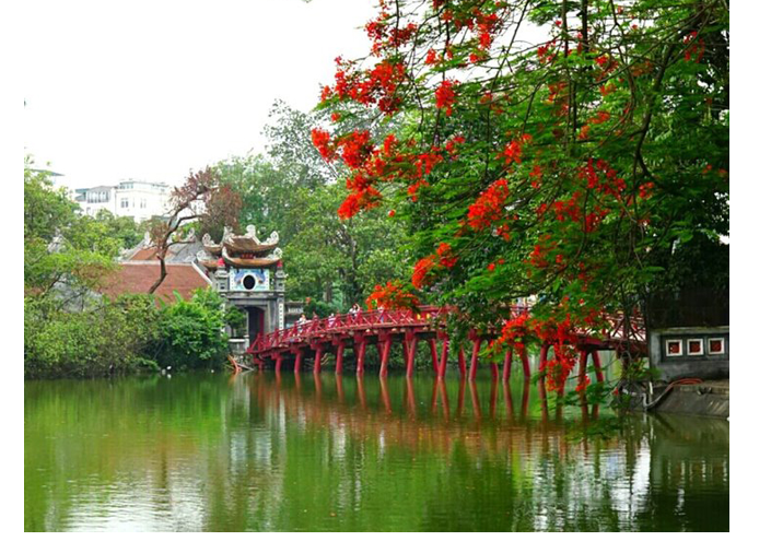 Nhóm em hãy tìm kiếm và lựa chọn thông tin để chuẩn bị bài trình chiếu giới thiệu về  (ảnh 1)