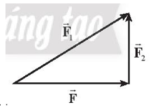 Hình vẽ nào sau đây biểu diễn đúng lực tổng hợp của hai lực F1F2 ? (ảnh 2)