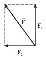 Hình vẽ nào sau đây biểu diễn đúng lực tổng hợp của hai lực F1F2 ? (ảnh 3)